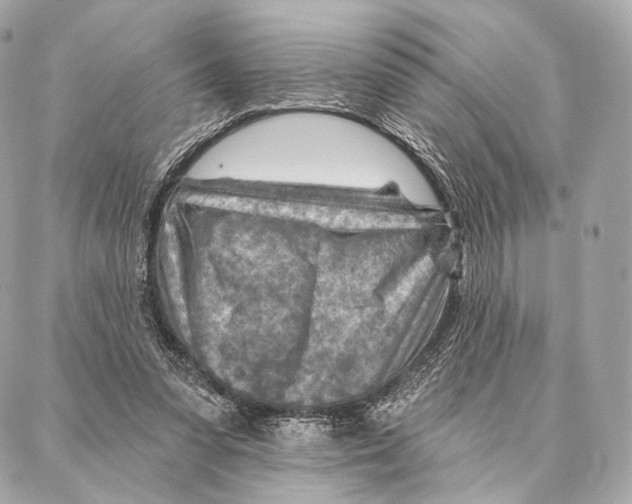 X0000087000303200705141813