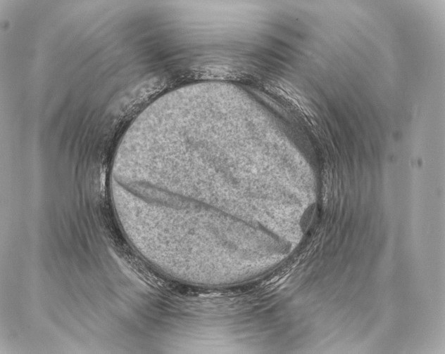 X0000087000310200705141812