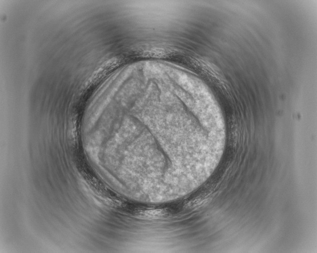 X0000087000312200705141812