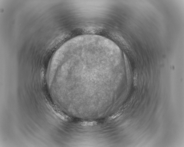 X0000087000314200705141812