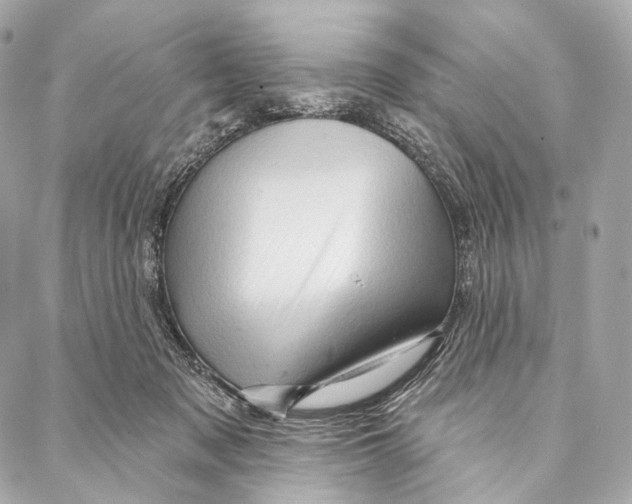 X0000087000317200705141812
