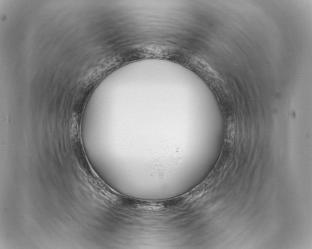X0000087000318200705141812