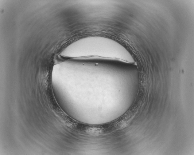 X0000087000319200705141812