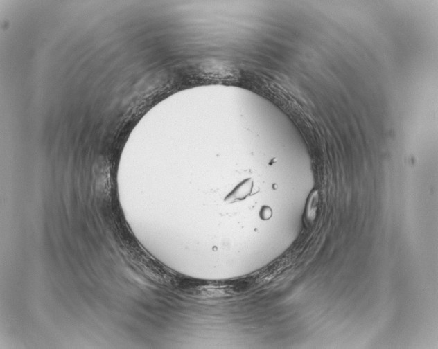 X0000087000320200705141812