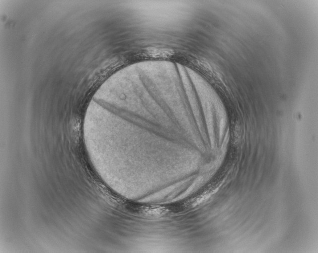 X0000087000321200705141812