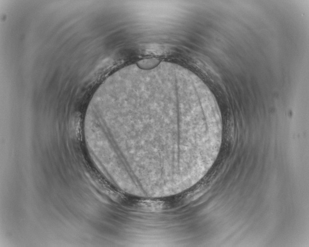 X0000087000328200705141812
