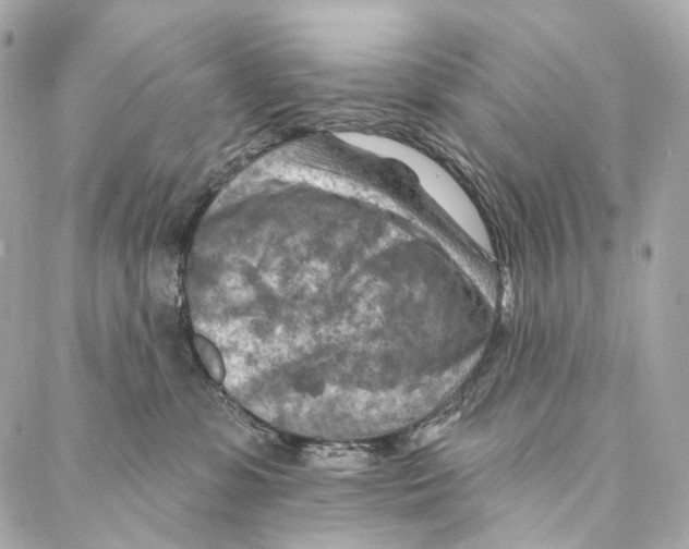 X0000087000331200705141812