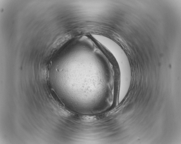 X0000087000333200705141812
