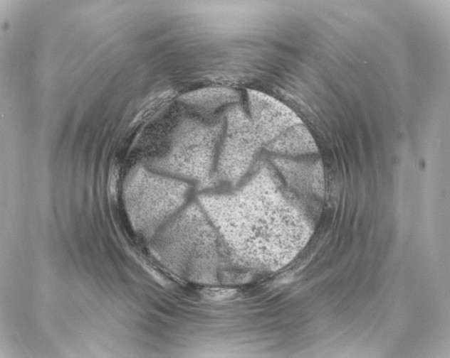 X0000087000334200705141812