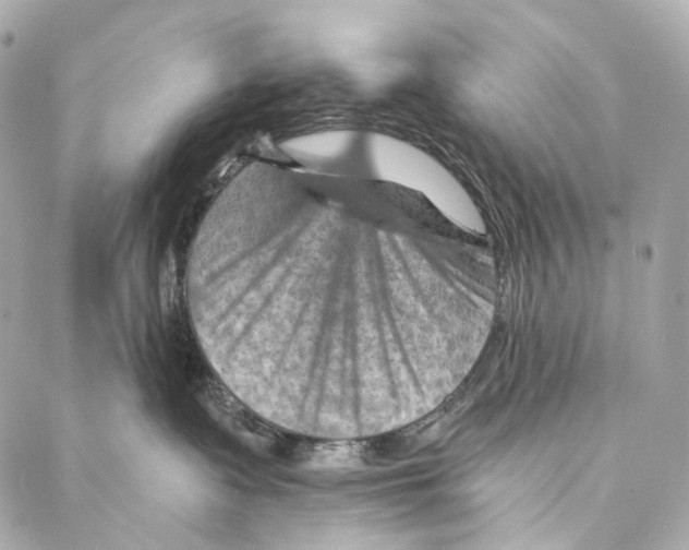 X0000087000335200705141812