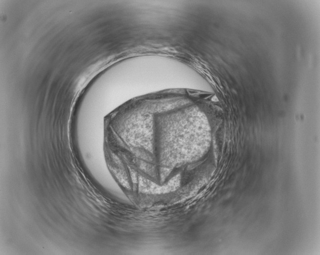 X0000087000340200705141811