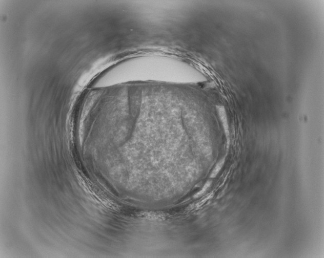 X0000087000343200705141811