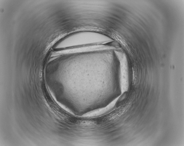 X0000087000348200705141811