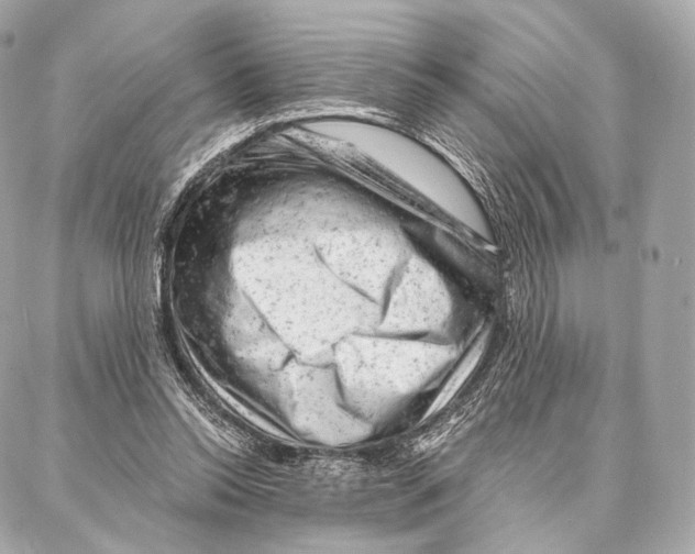 X0000087000350200705141811