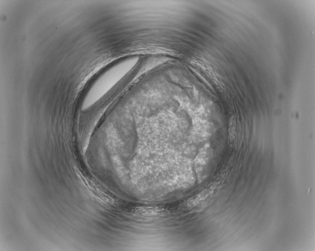 X0000087000351200705141811