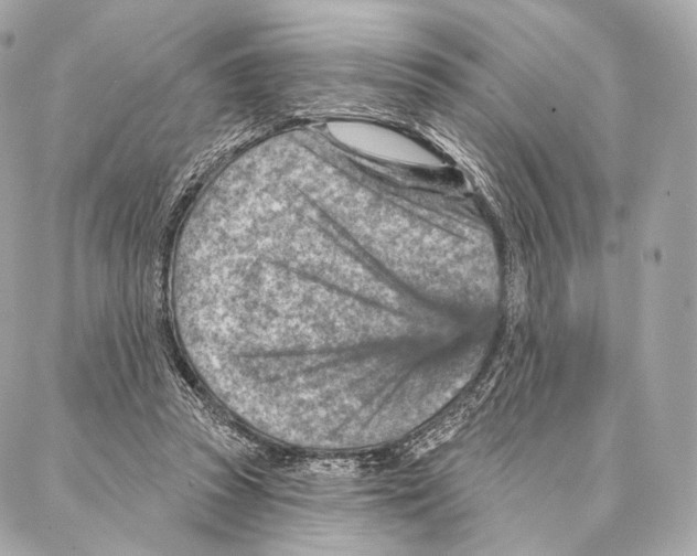 X0000087000353200705141812