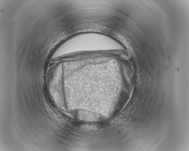 X0000087000354200705141812