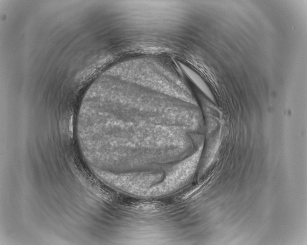X0000087000358200705141812