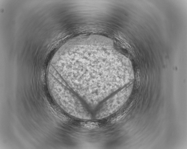 X0000087000359200705141812