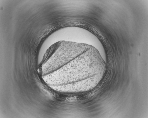 X0000087000362200705141812