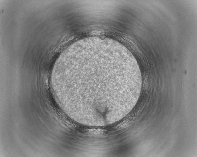 X0000087000363200705141812