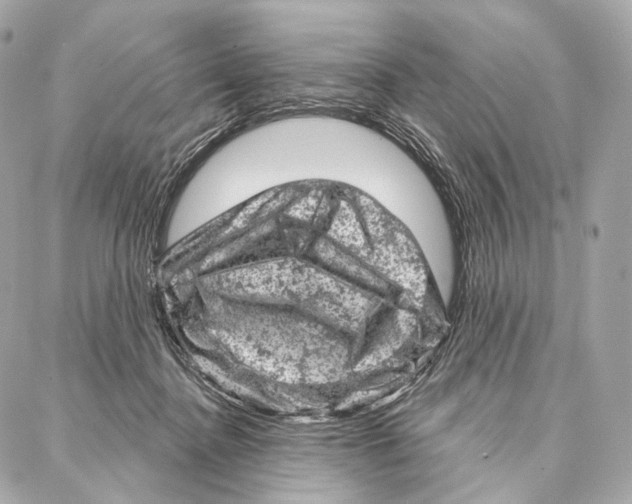 X0000087000364200705141812