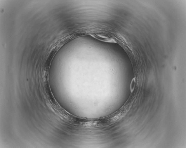 X0000087000366200705141812