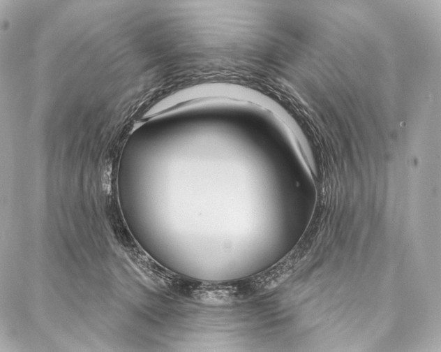 X0000087000368200705141812