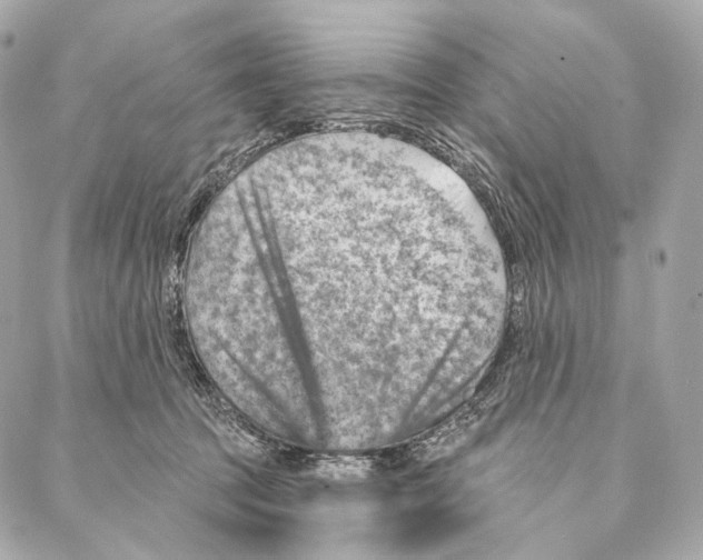 X0000087000369200705141812