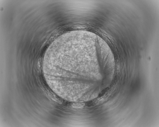 X0000087000373200705141812