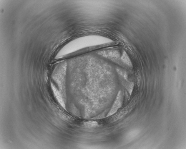 X0000087000374200705141812