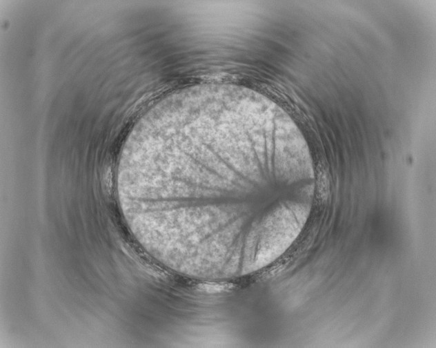 X0000087000375200705141812