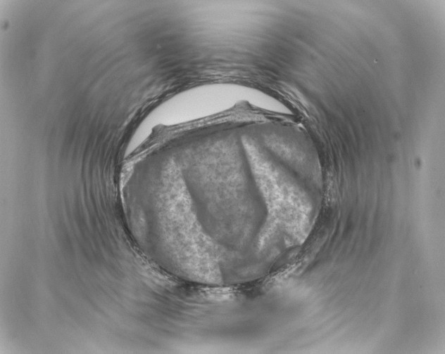 X0000087000377200705141812