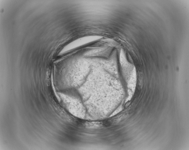 X0000087000378200705141812