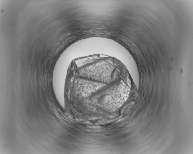 X0000087000380200705141812