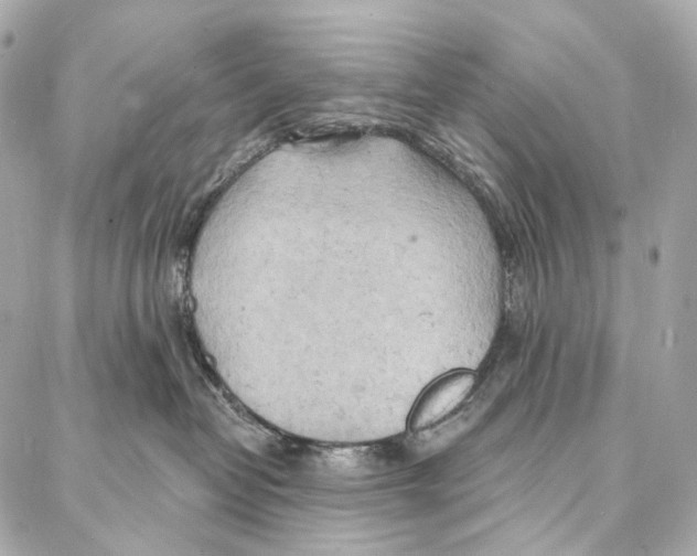 X0000087000382200705141812