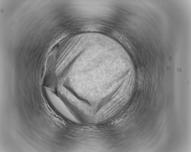 X0000087000386200705141811