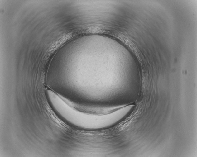 X0000087000393200705141811