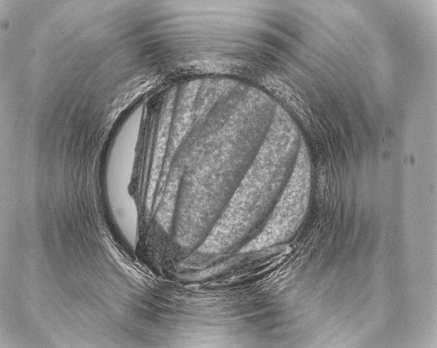 X0000087000398200705141811