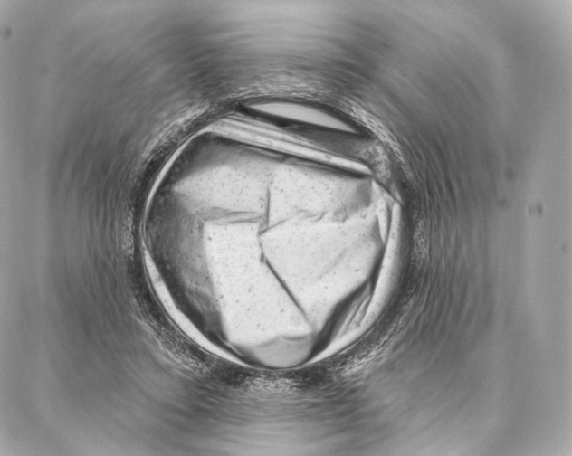 X0000087000403200705141811