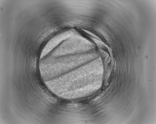 X0000087000404200705141811