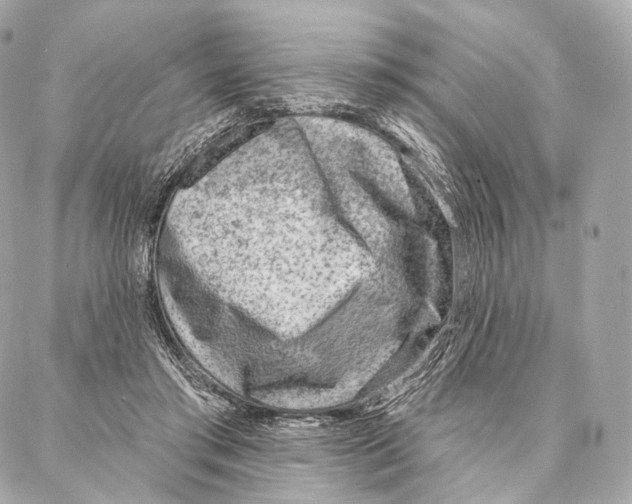 X0000087000405200705141811