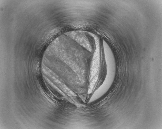 X0000087000408200705141811