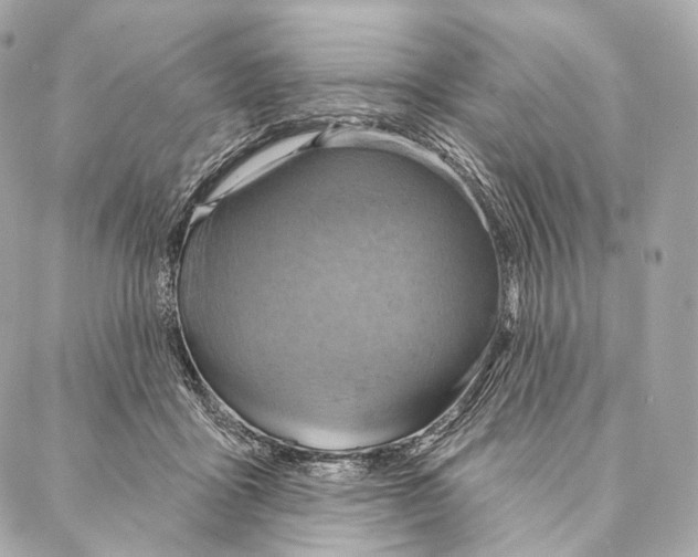 X0000087000411200705141811