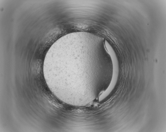 X0000087000412200705141811