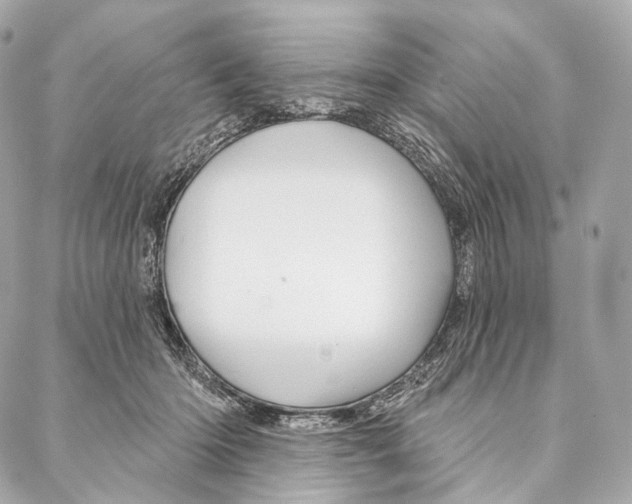 X0000087000414200705141811