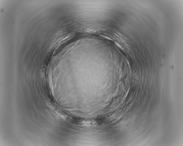 X0000087000415200705141811