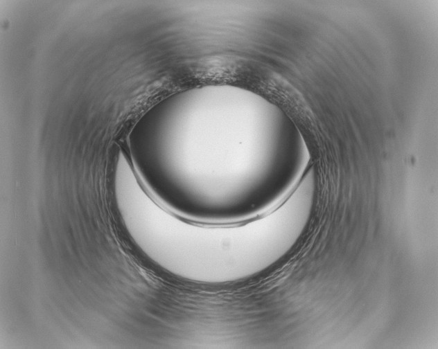 X0000087000416200705141811