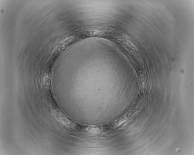 X0000087000419200705141811