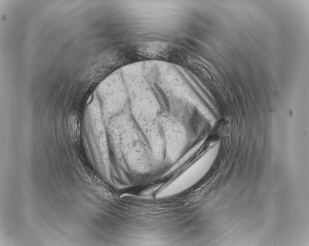 X0000087000420200705141811